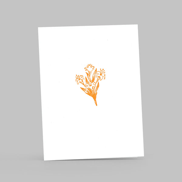 Springflowers