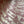 Load image into Gallery viewer, Schmuck Wrapping Paper, 3 sheets